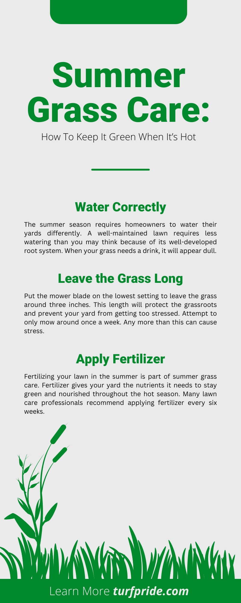 Summer Grass Care: How To Keep It Green When It’s Hot