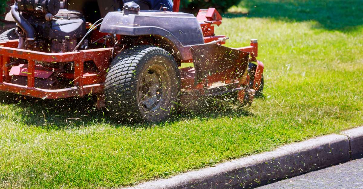 A person on a riding lawn mower is cutting a lawn. You can see grass floating in the air by the mower.