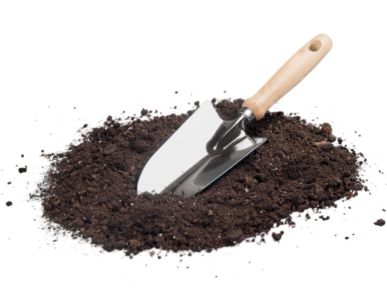 Greater Atlanta Area Lawn Weed Control Service TurfPride