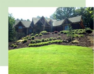 fall lawn care special atlanta