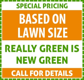 based-on-lawn-size