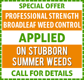 based-on-lawn-size Broadleaf Weed Control