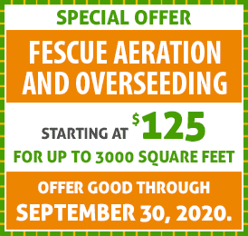 based-on-lawn-size Rescue Your Fescue!