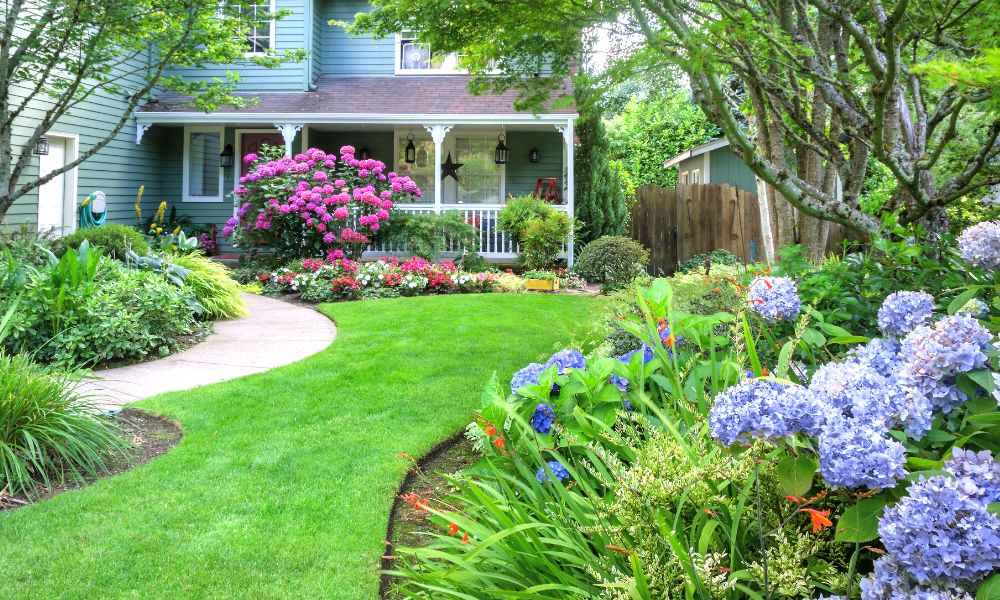 The Best Shrubs To Add to Your Atlanta Home Landscaping