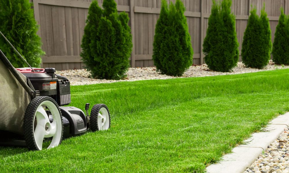 The Importance of Spring Lawn Care in Atlanta