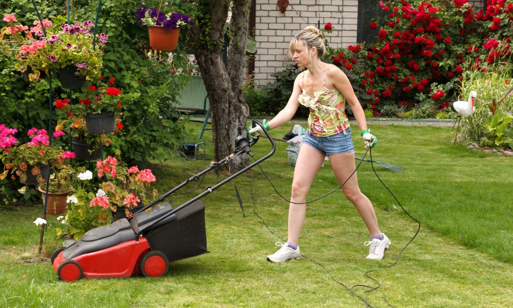 How To Grow and Maintain the Best Lawn on the Block