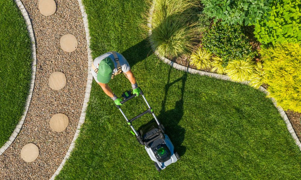 4 Reasons To Hire a Professional Lawn Care Company