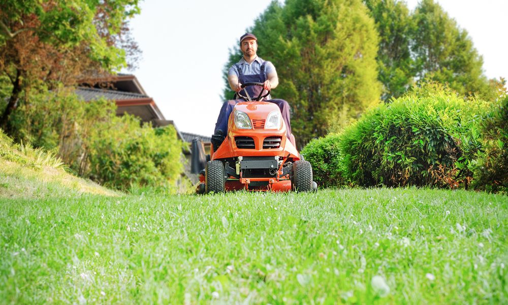 Lawn Maintenance vs. Lawn Care: What’s the Difference?