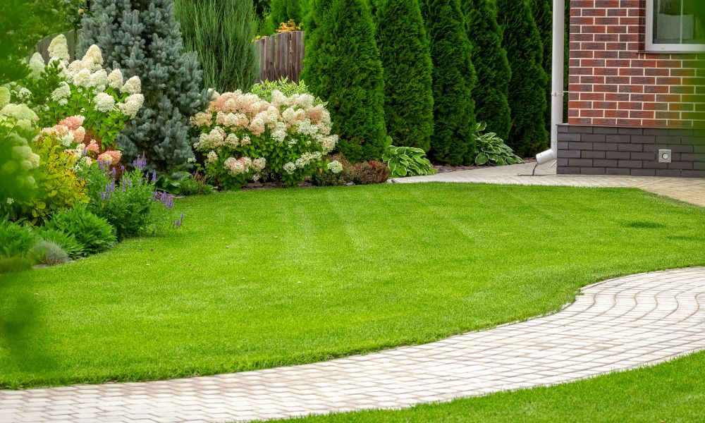 Tips for Creating & Maintaining Your Dream Lawn