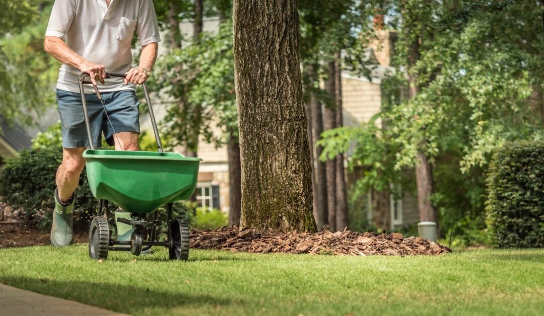 The Importance of Cool Season Aeration and Overseeding